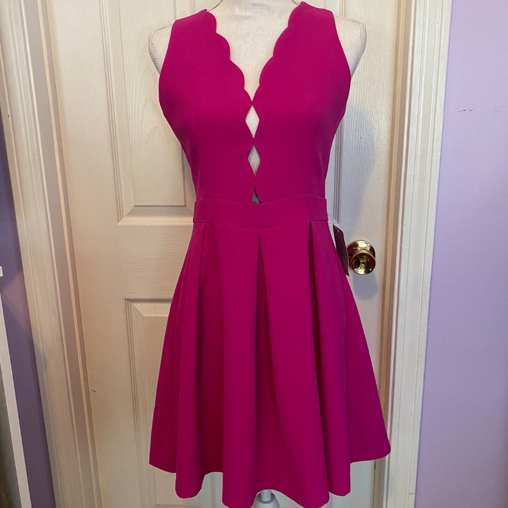NWT Adelyn Rae Serena Fit and Flare Dress Hot Pink